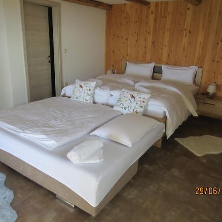 Studio 1111 With Sauna & Hot Tub Dravograd 외부 사진