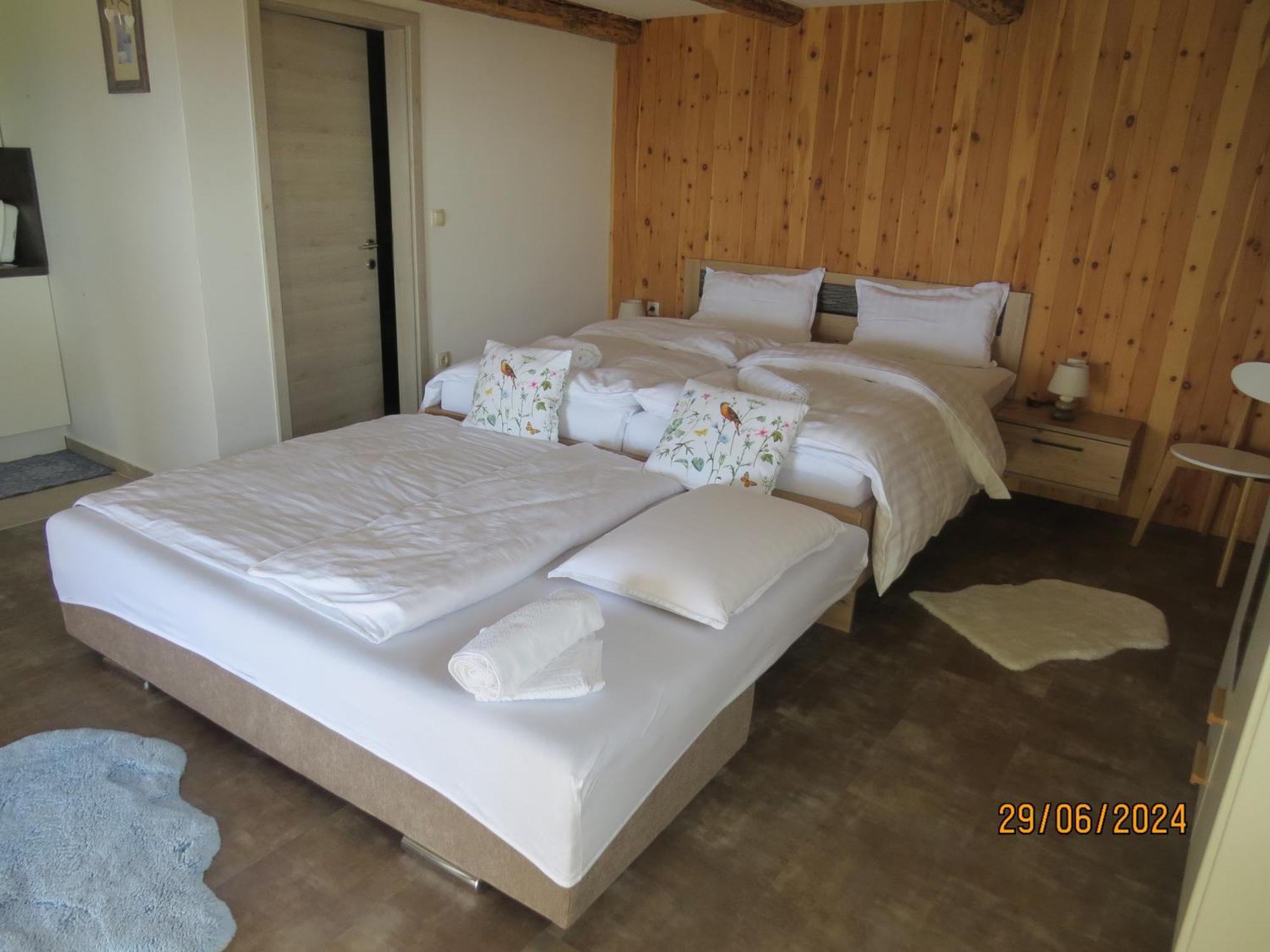 Studio 1111 With Sauna & Hot Tub Dravograd 외부 사진